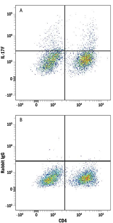 Mouse splenocytes stimulated to induce Th17 cells were stained with Rat Anti-Mouse CD4 PE-conjugated Monoclonal Antibody (Catalog # FAB554P) and either (A) Rabbit Anti-Mouse IL-17F Monoclonal Antibody (Catalog # MAB20571) or (B) Normal Rabbit IgG Control (Catalog # AB-105-C) followed by Allophycocyanin-conjugated Anti-Rabbit IgG Secondary Antibody (Catalog # F0111).
