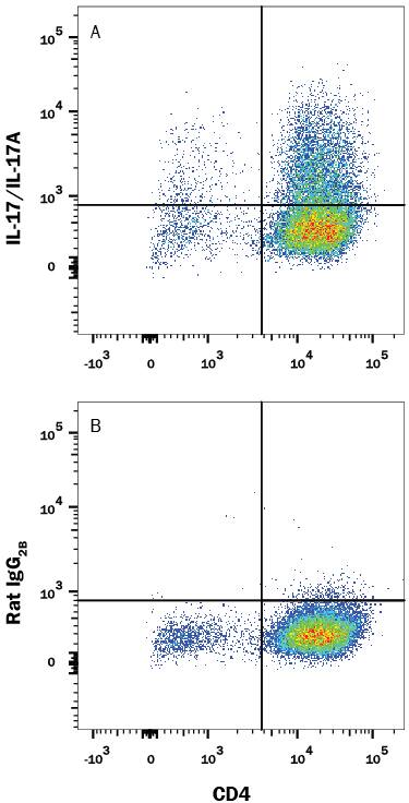 Mouse splenocytes stimulated to induce Th17 cells were stained with Rat Anti-Mouse CD4 APC-conjugated Monoclonal Antibody (Catalog # FAB554A) and either (A) Rat Anti-Mouse IL-17/IL-17A PE-conjugated Monoclonal Antibody (Catalog # IC7211P) or (B) Rat IgG2BPhycoerythrin Isotype Control (Catalog # IC013P). To facilitate intracellular staining, cells were fixed and permeabilized with FlowX FoxP3 Fixation & Permeabilization Buffer Kit (Catalog # FC012). View our protocol for Staining Intracellular Molecules.