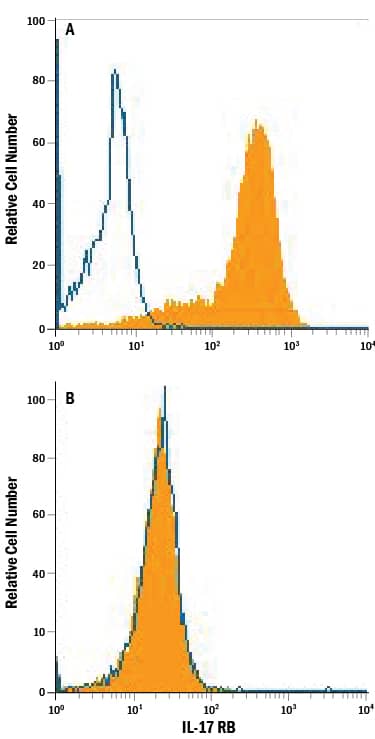 HEK293 human embryonic kidney cell line transfected with mouse IL-17 RB (panel A) or HEK293 cell line with irrelevant transfectant (panel B) was stained with Rat Anti-Mouse IL-17 RB Monoclonal Antibody (Catalog # MAB10402, filled histogram) or isotype control antibody (Catalog # MAB005, open histogram), followed by Phycoerythrin-conjugated Anti-Rat IgG Secondary Antibody (Catalog # F0105B).
