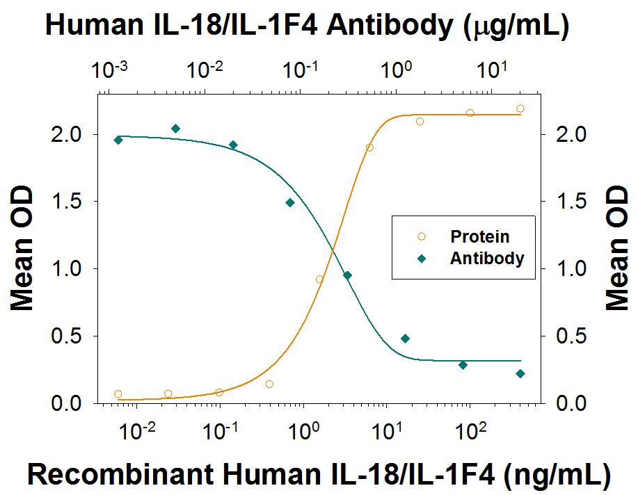 In the presence of Recombinant Human TNF-alpha  (20 ng/mL, Catalog # 210-TA), Recombinant Human IL-18/IL-1F4 (Catalog # 9124-IL) stimulates IFN-gamma  secretion in the KG-1 human acute myelogenous leukemia cell line in a dose-dependent manner (orange line), as measured by the Human IFN-gamma  Quantikine ELISA Kit (Catalog # DIF50). Under these conditions, IFN-gamma  secretion elicited by Recombinant Human IL-18/IL-1F4 (10 ng/mL) is neutralized (green line) by increasing concentrations of Rabbit Anti-Human IL-18/IL-1F4 Monoclonal Antibody (Catalog # MAB9124). The ND50 is typically 0.05-0.3 µg/mL.