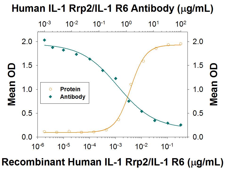 Recombinant Human IL-36 gamma/IL-1F9 (aa 18-169) (Catalog # 6835-IL) stimulates CXCL8/IL-8 secretion in the A431 human epithelial carcinoma cell line in a dose-dependent manner (orange line), as measured by the Human CXCL8/IL-8 Quantikine ELISA Kit (Catalog # D8000C). Il-8 Secretion elicited by Recombinant Human IL-36 gamma/IL-1F9 (aa 18-169) (30 ng/mL) is neutralized (green line) by increasing concentrations of Mouse Anti-Human IL-1 Rrp2/IL-1 R6 Monoclonal Antibody (Catalog # MAB8721). The ND50 is typically 0.25-1.5 µg/mL.