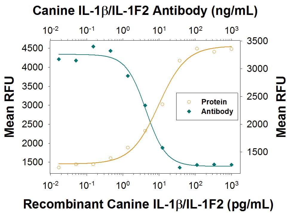 Recombinant Canine IL-1 beta /IL-1F2 (Catalog # 3747-CL) stimulates proliferation in the the D10.G4.1 mouse helper T cell line in a dose-dependent manner (orange line), as measured by Resazurin (Catalog # AR002) . Proliferation elicited by Recombinant Canine IL-1 beta /IL-1F2 (20 pg/mL) is neutralized (green line) by increasing concentrations of Sheep Anti-Canine IL-1 beta /IL-1F2 Antigen Affinity-purified Polyclonal Antibody (Catalog # AF37471). The ND50 is typically 3-18 ng/mL.