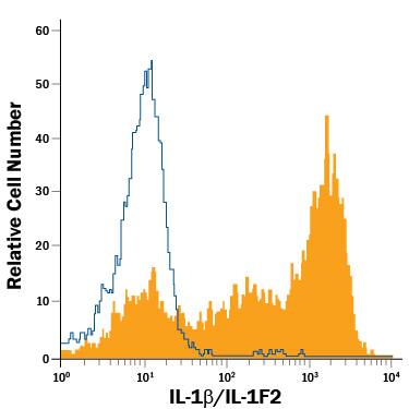 Peripheral blood mononuclear cell monocytes, resting (open histogram), or LPS-treated (filled histogram) were stained with Mouse Anti-Human IL-1 beta /IL-1F2 APC-conjugated Monoclonal Antibody (Catalog # IC201A) or isotype control antibody (Catalog # IC002A). View our protocol for Staining Intracellular Molecules.