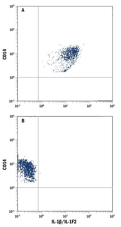 Human peripheral blood monocytes treated with LPS were stained with (A) Mouse Anti-Human IL-1 beta /IL-1F2 Fluorescein-conjugated Monoclonal Antibody (Catalog # IC201F) and Mouse Anti-Human CD14 PE-conjugated Monoclonal Antibody (Catalog # FAB3832P). Excess Recombinant Human IL-1 beta /IL-1F2 (Catalog # 201-LB) inhibits IC201F staining (B). Quadrant markers were set based on control antibody staining (Catalog # IC002F). To facilitate intracellular staining, cells were fixed with Flow Cytometry Fixation Buffer (Catalog # FC004) and permeabilized with Flow Cytometry Permeabilization/Wash Buffer I (Catalog # FC005). View our protocol for Staining Intracellular Molecules.