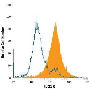 A20 mouse B cell lymphoma cell line was stained with Goat Anti-Mouse IL-21 R Antigen Affinity-purified Polyclonal Antibody (Catalog # AF596, filled histogram) or isotype control antibody (Catalog # AB-108-C, open histogram), followed by Phycoerythrin-conjugated Anti-Goat IgG Secondary Antibody (Catalog # F0107).