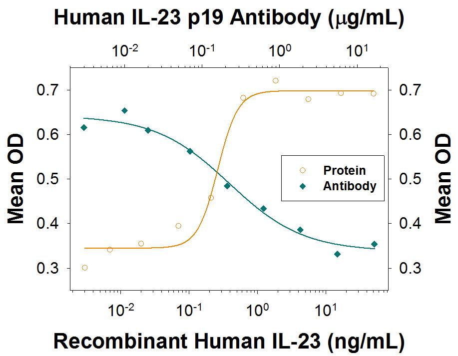 Recombinant Human IL-23 (Catalog # 1290-IL) stimulates IL-17 secretion in mouse splenocytes in a dose-dependent manner (orange line), as measured by the Mouse IL-17 Quantikine ELISA Kit (Catalog # M1700). Under these conditions, IL-17 secretion elicited by Recombinant Human IL-23 (0.3 ng/mL) is neutralized (green line) by increasing concentrations of Rabbit Anti-Human IL-23 p19 Monoclonal Antibody (Catalog # MAB1290). The ND50 is typically 0.15-0.9 µg/mL.