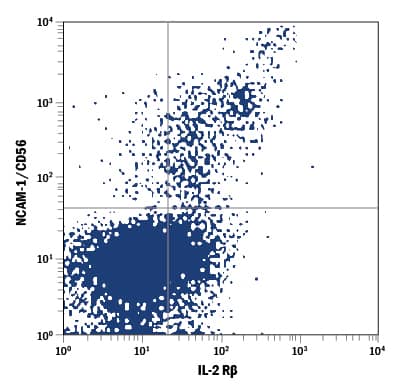 Human peripheral blood lymphocytes were stained with Mouse Anti-Human IL-2 R beta  APC-conjugated Monoclonal Antibody (Catalog # FAB224A) and Mouse Anti-Human NCAM-1/CD56 PE-conjugated Monoclonal Antibody (Catalog # FAB2408P). Quadrant markers were set based on control antibody staining (Catalog # IC002A). View our protocol for Staining Membrane-associated Proteins.