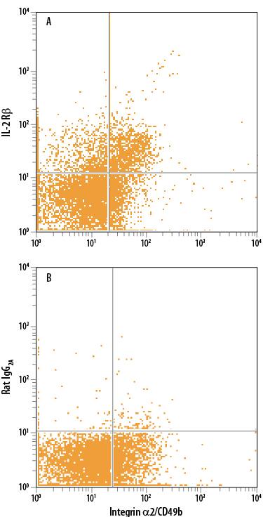 Mouse splenocytes were stained with anti-mouse Integrin a2/CD49b APC-conjugated antibody and either (A) Rat Anti-Mouse IL-2 R beta  Monoclonal Antibody (Catalog # MAB5891) or (B) Rat IgG2AIsotype Control (Catalog # MAB006) followed by Phycoerythrin-conjugated Anti-Rat IgG Secondary Antibody (Catalog # F0105B).