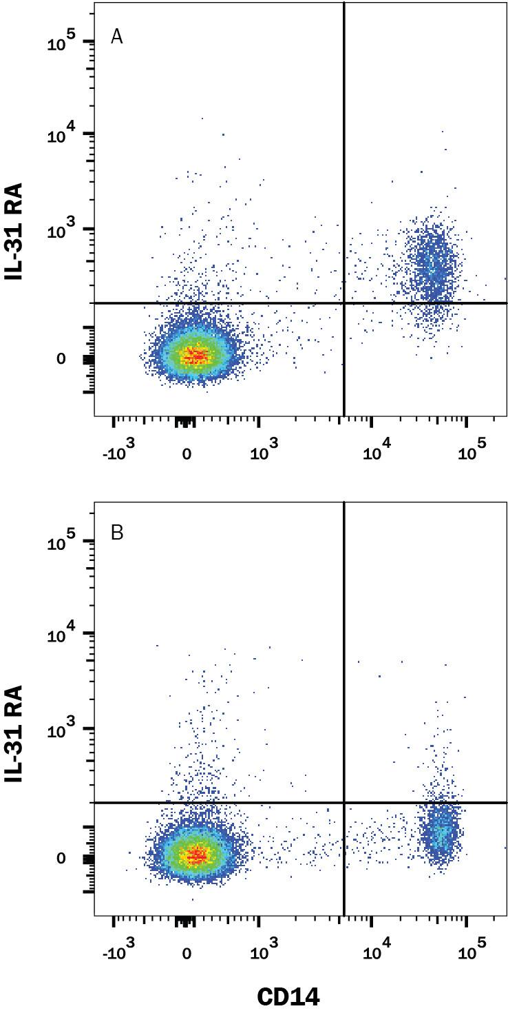 Human peripheral blood mononuclear cells (PBMCs), A) treated with 50 ng/mL recombinant human IFN-gamma (Catalog # 285-IF) for 20 hours, or B) untreated, were stained with Mouse Anti-Human CD14 APC-conjugated Monoclonal Antibody (Catalog # FAB3832A) and Rat Anti-Human IL-31 RA Monoclonal Antibody (Catalog # MAB2769) followed by PE-conjugated Anti-Rat IgG Secondary Antibody (Catalog # F0105B). Quadrant markers were set based on Rat IgG1 Isotype Control (Catalog # MAB005, data not shown). View our protocol for Staining Membrane-associated Proteins.