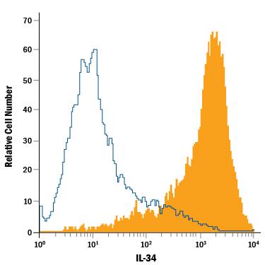 NS0 mouse myeloma cell line transfected with human IL-34 was stained with Mouse Anti-Human IL-34 PE-conjugated Monoclonal Antibody (Catalog # IC5265P, filled histogram) or isotype control antibody (Catalog # IC002P, open histogram). To facilitate intracellular staining, cells were fixed with Flow Cytometry Fixation Buffer (Catalog # FC004) and permeabilized with Flow Cytometry Permeabilization/Wash Buffer I (Catalog # FC005). View our protocol for Staining Intracellular Molecules.