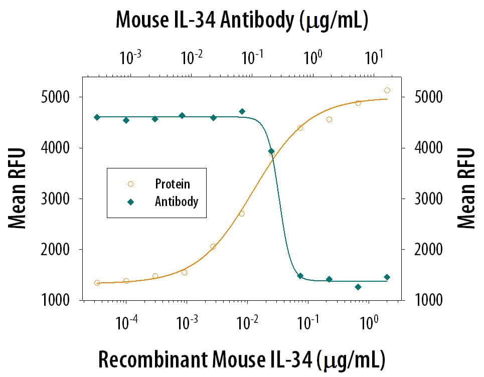 Recombinant Mouse IL-34 induces proliferation in the M-NFS-60 mouse myelogenous leukemia lymphoblast cell line in the presence of in a dose-dependent manner (orange line), as measured by the Resazurin (Catalog # AR002). Under these conditions, proliferation elicited by IL-34 is neutralized (green line) by increasing concen-trations of Rat Anti-Mouse IL-34 Monoclonal Antibody (Catalog # MAB5195). The ND50 is typically 0.1-0.5 ug/mL.