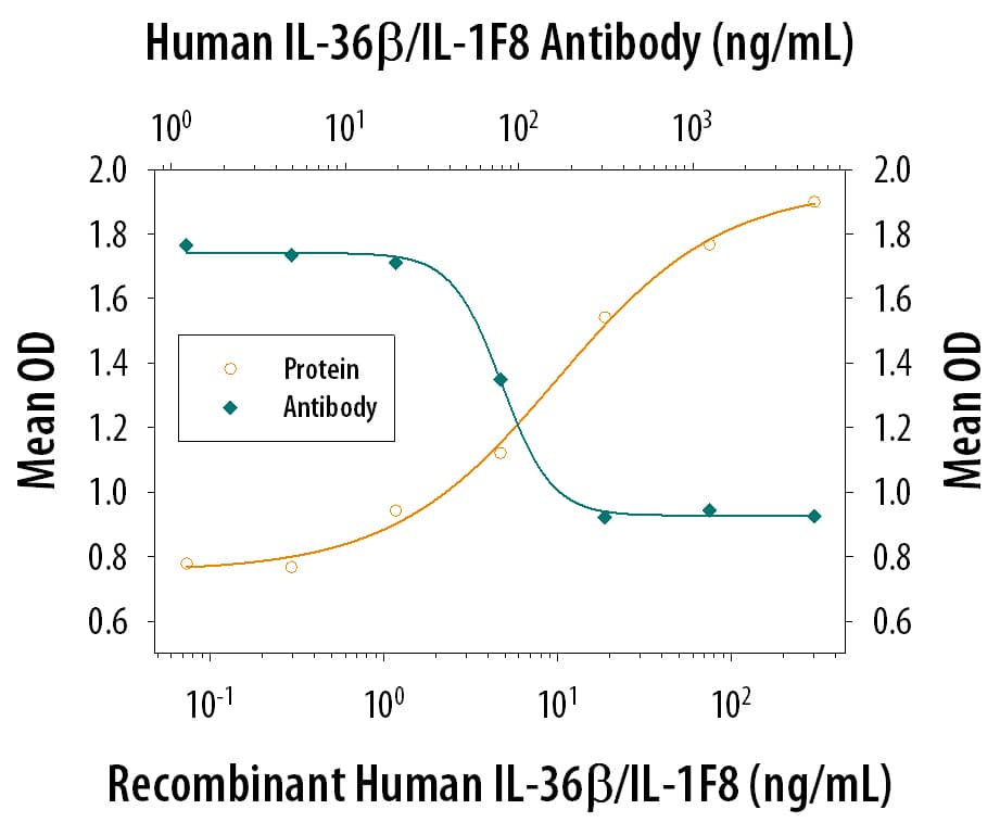 Neutralization IL-36 beta/IL-1F8 Antibody [Unconjugated]