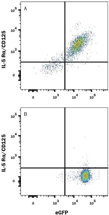 Flow Cytometry IL-5R alpha/CD125 Antibody (26815) [Unconjugated]