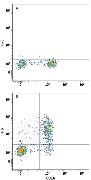 Human peripheral blood mononuclear cells (PBMCs) (A) untreated or (B) treated overnight with 250 ng/mL LPS were stained with Mouse Anti-Human IL-6 Alexa Fluor® 488-conjugated Monoclonal Antibody (Catalog # IC2062G) and Mouse Anti-Human CD14 APC-conjugated Monoclonal Antibody (Catalog # FAB3832A). Quadrant markers were set based on control antibody staining (Catalog # IC002A). To facilitate intracellular staining, cells were fixed with Flow Cytometry Fixation Buffer (Catalog # FC004) and permeabilized with Flow Cytometry Permeabilization/Wash Buffer I (Catalog # FC005). View our protocol for Staining Intracellular Molecules.
