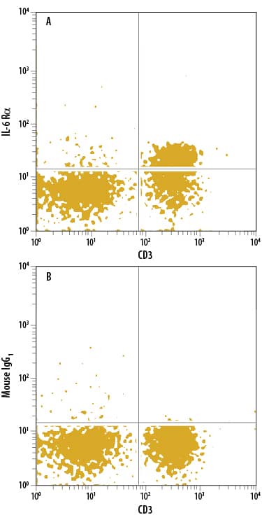 Human peripheral blood lymphocytes were stained with Mouse Anti-Human CD3e APC-conjugated Monoclonal Antibody (FAB100A) and either (A) Mouse Anti-Human IL-6 Ra Fluorescein-conjugated Monoclonal Antibody (Catalog # FAB227F) or (B) Mouse IgG1Fluorescein Isotype Control (IC002F). View our protocol for Staining Membrane-associated Proteins.