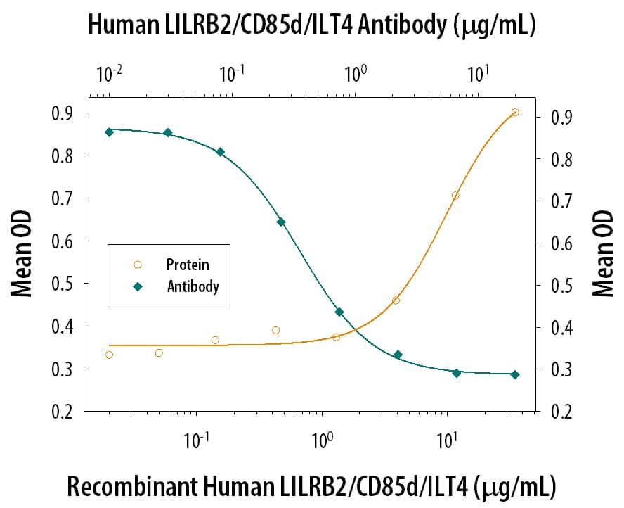 Recombinant Human LILRB2/CD85d/ILT4 Fc Chimera (2078-T4), immobilized onto a microplate, supports the adhesion of the HSB2 human peripheral blood acute lymphoblastic leukemia cell line in a dose-dependent manner (orange line). Adhesion elicited by Recombinant Human LILRB2/CD85d/ILT4 Fc Chimera (35 µg/mL) is neutralized (green line) by increasing concentrations of Goat Anti-Human LILRB2/CD85d/ILT4 Antigen Affinity-purified Polyclonal Antibody (Catalog # AF2078). The ND50 is typically 0.3-1.0 µg/mL.