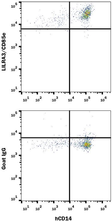 Human peripheral blood monoctyes were stained with Mouse Anti-Human CD14 APC-conjugated Monoclonal Antibody (Catalog # FAB3832A) and either (A) Goat Anti-Human LILRA3/CD85e Antigen Affinity-purified Polyclonal Antibody (Catalog # AF2574) or (B) Normal Goat IgG Control (Catalog # AB-108-C) followed by Phycoerythrin-conjugated Anti-Goat IgG Secondary Antibody (Catalog # F0107). To facilitate intracellular staining, cells were fixed with Flow Cytometry Fixation Buffer (Catalog # FC004) and permeabilized with Flow Cytometry Permeabilization/Wash Buffer I (Catalog # FC005). View our protocol for Staining Intracellular Molecules.