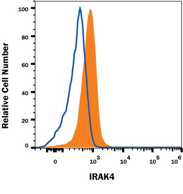 K562 human cell line was stained with Rat Anti-Human IRAK Monoclonal Antibody (Catalog # MAB39191, filled histogram) or isotype control antibody (Catalog # MAB005, open histogram) followed by anti-Rat IgG APC-conjugated secondary antibody (Catalog # F0113). To facilitate intracellular staining, cells were fixed with Flow Cytometry Fixation Buffer (Catalog # FC004) and permeabilized with Flow Cytometry Permeabilization/Wash Buffer I (Catalog # FC005). View our protocol for Staining Intracellular Molecules.