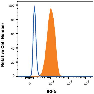 A20 mouse B cell lymphoma cell line was stained with Rat Anti-Mouse IRF5 Alexa Fluor® 488-conjugated Monoclonal Antibody (Catalog # IC8447G, filled histogram) or isotype control antibody (Catalog # IC013G, open histogram). To facilitate intracellular staining, cells were fixed with Flow Cytometry Fixation Buffer (Catalog # FC004) and permeabilized with Flow Cytometry Permeabilization/Wash Buffer I (Catalog # FC005). View our protocol for Staining Intracellular Molecules.