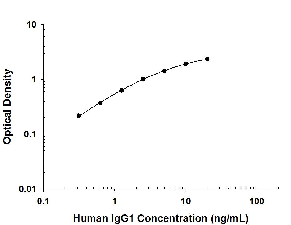 Recombinant Human IgG1protein was serially diluted 2-fold and captured by Mouse Anti-Human IgG1Monoclonal Antibody (Catalog # MAB9894) coated on a Clear Polystyrene Microplate (Catalog # DY990). Rabbit Anti-Human IgG Monoclonal Antibody (Catalog # MAB11012) was biotinylated and incubated with the protein captured on the plate. Detection of the standard curve was achieved by incubating Streptavidin-HRP (Catalog # DY998) followed by Substrate Solution (Catalog # DY999) and stopping the enzymatic reaction with Stop Solution (Catalog # DY994).