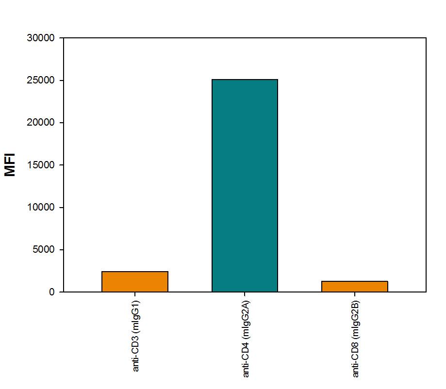 Human PBMC lymphocytes were stained with Mouse anti-Human CD3e Monoclonal Antibody (Catalog # MAB100, Mouse IgG1isotype), Mouse anti-Human CD4 Monoclonal Antibody (Catalog # MAB3791, Mouse IgG2Aisotype), or Mouse anti-Human CD8a Monoclonal Antibody (Catalog # MAB1509, Mouse IgG2Bisotype), followed by Rabbit anti-Mouse IgG2A-specific secondary antibody (Catalog # MAB0033) then PE-conjugated Goat anti-Rabbit secondary antibody (Catalog # F0110). View our protocol for Staining Membrane-associated Proteins.