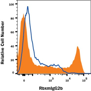 Human PBMC lymphocytes were stained with Mouse anti-Human CD8 alpha Monoclonal Antibody (Catalog # MAB1509, Mouse IgG2B isotype, filled histogram) or Mouse anti-HumanCD3 epsilon Monoclonal Antibody (Catalog # MAB100, Mouse IgG1 isotype, open histogram), followed by Rabbit anti-Mouse IgG2B-specific PE-conjugated secondary antibody (Catalog #FAB9636P). View our protocol for Staining Membrane-associated Proteins.