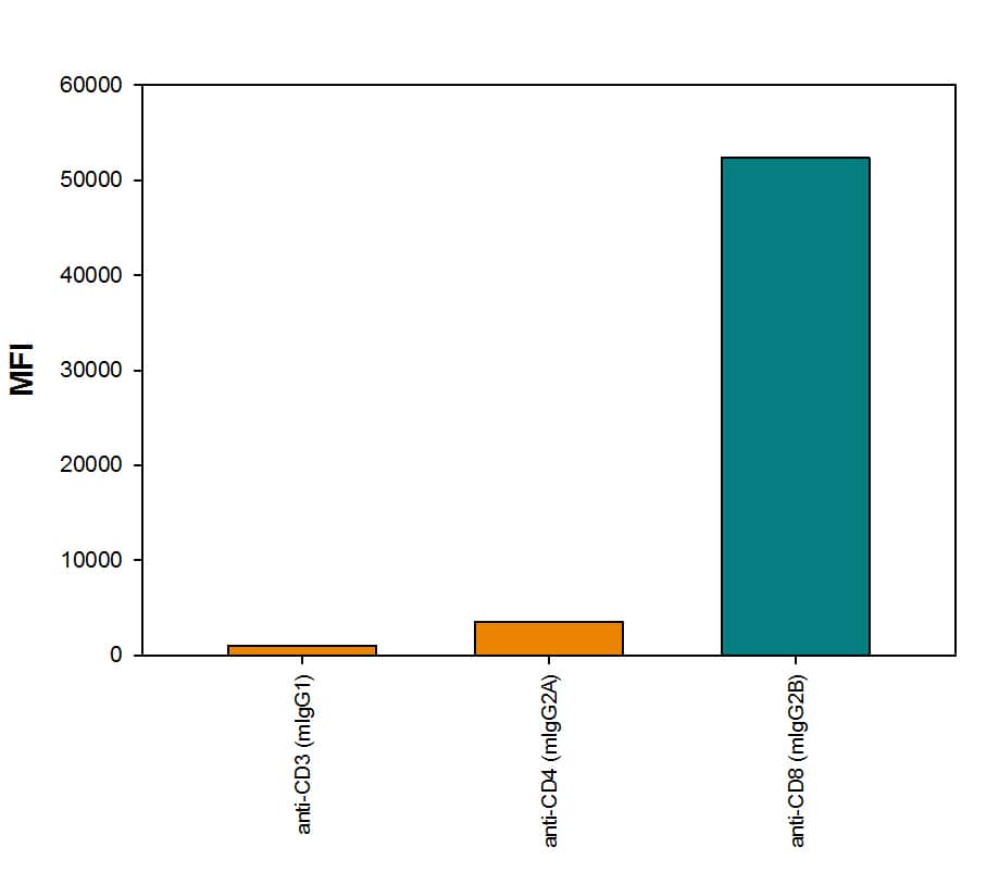 Human PBMC lymphocytes were stained with Mouse anti-Human CD3e Monoclonal Antibody (MAB100, Mouse IgG1isotype), Mouse anti-Human CD4 Monoclonal Antibody (MAB3791, Mouse IgG2Aisotype), or Mouse anti-Human CD8a Monoclonal Antibody (MAB1509, Mouse IgG2Bisotype), followed by Rabbit anti-Mouse IgG2B-specific secondary antibody (Catalog # MAB9636) then PE-conjugated Goat anti-Rabbit secondary antibody (F0110). View our protocol for Staining Membrane-associated Proteins.