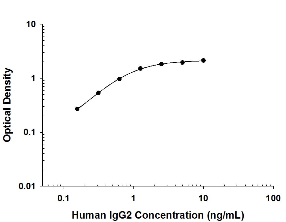 Recombinant Human IgG2protein was serially diluted 2-fold and captured by Rabbit Anti-Human IgG2Monoclonal Antibody (Catalog # MAB97941) coated on a Clear Polystyrene Microplate (Catalog # DY990). Rabbit Anti-Human IgG Monoclonal Antibody (Catalog # MAB11012) was biotinylated and incubated with the protein captured on the plate. Detection of the standard curve was achieved by incubating Streptavidin-HRP (Catalog # DY998) followed by Substrate Solution (Catalog # DY999) and stopping the enzymatic reaction with Stop Solution (Catalog # DY994).
