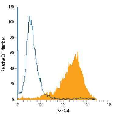 NTera-2 human testicular embryonic carcinoma cell line was stained with Mouse Anti-Human/Mouse SSEA-4 Fluorescein-conjugated Monoclonal Antibody (Catalog # FAB1435F, filled histogram) or Mouse IgG Fluorescein-conjugated Isotype Control Antibody (Catalog # IC007F, open histogram). View our protocol for Staining Membrane-associated Proteins.