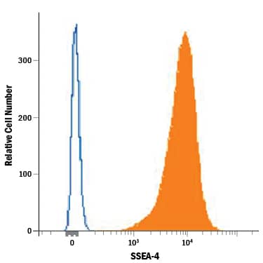NTera-2 human testicular embryonic carcinoma cell line was stained with Mouse Anti-Human/Mouse SSEA-4 Alexa Fluor® 647-conjugated Monoclonal Antibody (FAB1435R, filled histogram) or Mouse IgG Alexa Fluor® 647-conjugated Isotype Control Antibody (Catalog # IC007R, open histogram). View our protocol for Staining Membrane-associated Proteins.