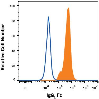 HEK293 human embryonic kidney cell line transfected with either human CD94 Fc Chimera (filled histogram) or irrelevant transfectants (open histogram) was stained with Mouse Anti-Human IgG Fc Alexa Fluor® 405-conjugated Monoclonal Antibody (Catalog # FAB110V). To facilitate intracellular staining, cells were fixed with Flow Cytometry Fixation Buffer (Catalog # FC004) and permeabilized with Flow Cytometry Permeabilization/Wash Buffer I (Catalog # FC005). View our protocol for Staining Intracellular Molecules.