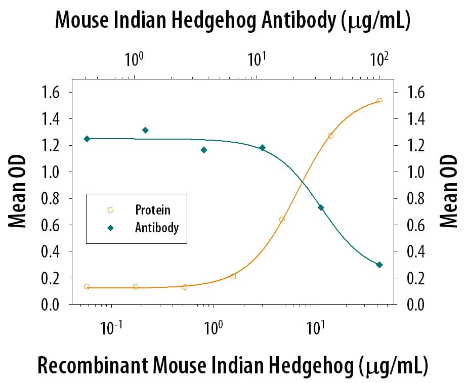 Recombinant Human/Mouse Indian Hedgehog/Ihh (C28II), N-Terminus induces alkaline phosphatase production in the C3H10T1/2 mouse embryonic fibroblast cell line in a dose-dependent manner (orange line). Alkaline phosphatase production elicited by Indian Hedgehog/Ihh (10 ug/mL) is neutralized (green line) by increasing concentrations of Rat Anti-Mouse Indian Hedgehog/Ihh Monoclonal Antibody (Catalog # MAB8048). The ND50 is typically 10-45 ug/mL.