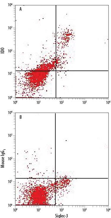 Human PBMC-derived myeloid-derived suppressor cells (MDSCs) treated with 10 ng/mL Recombinant Human IL-6 (Catalog # 206-IL) and 10 ng/mL Recombinant Human GM-CSF (Catalog # 215-GM) for 7 days were stained with Mouse Anti-Human Siglec-3/CD33 PE-conjugated Monoclonal Antibody (Catalog # FAB1137P) and either (A) Mouse Anti-Human Indoleamine 2,3-dioxygenase/IDO APC-conjugated Monoclonal Antibody (Catalog # IC6030A) or (B) Mouse IgG1Allophycocyanin Isotype Control (Catalog # IC002A). To facilitate intracellular staining, cells were fixed with Flow Cytometry Fixation Buffer (Catalog # FC004) and permeabilized with Flow Cytometry Permeabilization/Wash Buffer I (Catalog # FC005). View our protocol for Staining Intracellular Molecules.