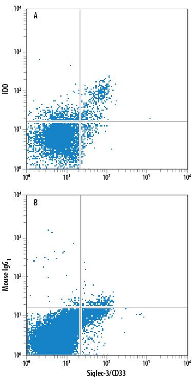 Human myeloid-derived suppressor cells (MDSCs) treated with 10 ng/mL Recombinant Human IL-6 (Catalog # 206-IL) and 10 ng/mL Recombinant Human GM-CSF (Catalog # 215-GM) for 7 days were stained with Mouse Anti-Human Siglec-3/CD33 APC-conjugated Monoclonal Antibody (Catalog # FAB1137A) and either (A) Mouse Anti-Human Indoleamine 2,3-dioxygenase/IDO Alexa Fluor® 488-conjugated Monoclonal Antibody (Catalog # IC6030G) or (B) Mouse IgG1Alexa Fluor 488 Isotype Control (Catalog # IC002G). To facilitate intracellular staining, cells were fixed with Flow Cytometry Fixation Buffer (Catalog # FC004) and permeabilized with Flow Cytometry Permeabilization/Wash Buffer I (Catalog # FC005). View our protocol for Staining Intracellular Molecules.
