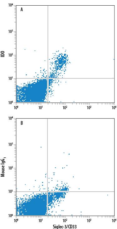 Human myeloid-derived suppressor cells (MDSCs) treated with 10 ng/mL Recombinant Human IL-6 (Catalog # 206-IL) and 10 ng/mL Recombinant Human GM-CSF (Catalog # 215-GM) for 7 days were stained with Mouse Anti-Human Siglec-3/CD33 APC-conjugated Monoclonal Antibody (Catalog # FAB1137A) and either (A) Mouse Anti-Human Indoleamine 2,3-dioxygenase/IDO PE-conjugated Monoclonal Antibody (Catalog # IC6030P) or (B) Mouse IgG1Phycoerythrin Isotype Control (Catalog # IC002P). To facilitate intracellular staining, cells were fixed with Flow Cytometry Fixation Buffer (Catalog # FC004) and permeabilized with Flow Cytometry Permeabilization/Wash Buffer I (Catalog # FC005). View our protocol for Staining Intracellular Molecules.