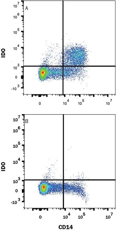 Human Monocytes were selected from PBMC using MagCellect Human CD14+ Cell Isolation Kit (Catalog # MAGH105) and cultured overnight with (A) 50 ng/mL Recombinant Human MCSF (Catalog # 216-MC), 50 ng/mL Recombinant Human IFNg (Catalog # 285-IF) and 50 ng/mL LPS, or (B) Recombinant Human MCSF alone. Cells were stained with Mouse Anti-Human Indoleamine 2,3-dioxygenase/IDO Monoclonal Antibody (Catalog # MAB60302) followed by APC-conjugated Anti-Mouse IgG Secondary Antibody (Catalog # F0101B) and Mouse Anti-Human CD14 PE-conjugated Monoclonal Antibody (Catalog # FAB3832P). Quadrant markers were set based on Mouse IgG2B Isotype Control (Catalog # MAB0041). To facilitate intracellular staining, cells were fixed with 1% paraformaldehyde and permeabilized with saponin. View our protocol for Staining Intracellular Molecules.