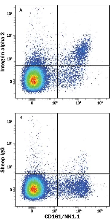 Mouse splenocytes were stained with Mouse Anti-Mouse CD161/NK1.1 PE-conjugated Monoclonal Antibody (Catalog # FAB8319P) and either (A) Sheep Anti-Mouse Integrin a2/CD49b Antigen Affinity-purified Polyclonal Antibody (Catalog # AF1740) or (B) Normal Sheep IgG Control (Catalog # 5-001-A) followed by Allophycocyanin-conjugated Anti-Sheep IgG Secondary Antibody (Catalog # F0127).