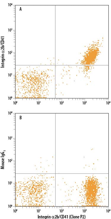 Human peripheral blood platelets were stained with FITC-conjugated Anti-Human Integrin a2b/CD41 Antibody (Clone P2) and either (A) Mouse Anti-Human Integrin a2b/CD41 APC-conjugated Monoclonal Antibody (Catalog # FAB7616A) or (B) Mouse IgG<SUB>1</SUB>Allophycocyanin Isotype Control (Catalog # <a class=