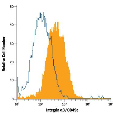 XB2 mouse teratoma keratinocyte cell line was stained with Goat Anti-Mouse Integrin a3/CD49c Alexa Fluor® 488-conjugated Polyclonal Antibody (Catalog # FAB2787G, filled histogram) or isotype control antibody (Catalog # IC108G, open histogram). View our protocol for Staining Membrane-associated Proteins.