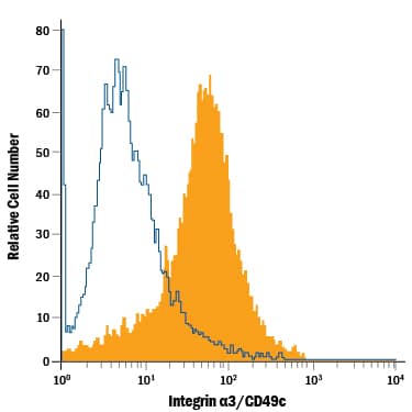 XB2 mouse teratoma keratinocyte cell line was stained with Goat Anti-Mouse Integrin a3/CD49c PE-conjugated Antigen Affinity-purified Polyclonal Antibody (Catalog # FAB2787P, filled histogram) or isotype control antibody (Catalog # IC108P, open histogram). View our protocol for Staining Membrane-associated Proteins.