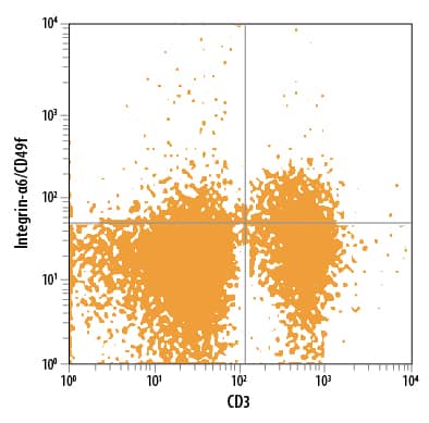 Mouse splenocytes were stained with Rat Anti-Human/Mouse/Bovine Integrin a6/CD49f PE-conjugated Monoclonal Antibody (Catalog # FAB13501P) and Rat Anti-Mouse CD3 APC-conjugated Monoclonal Antibody (Catalog # FAB4841A). Quadrant markers were set based on control antibody staining (Catalog # IC006P). View our protocol for Staining Membrane-associated Proteins.
