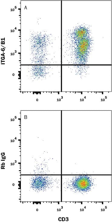 Human PBMC were stained with (A) Rabbit Anti-Human Integrin a6 beta 1 Monoclonal Antibody (Catalog # MAB7809) or (B) Rabbit IgG control antibody (Catalog # MAB1050) followed by PE-conjugated Anti-Rabbit IgG Secondary Antibody (Catalog # F0110) and Mouse anti-Human CD3 APC-conjugated Monoclonal Antibody (Catalog # FAB100A). View our protocol for Staining Membrane-associated Proteins.
