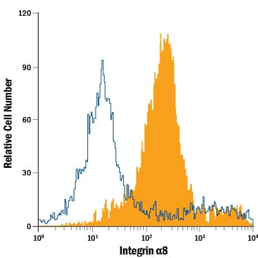 H4 human neuroglioma cell line was stained with Mouse Anti-Human Integrin a8 APC-conjugated Monoclonal Antibody (Catalog # FAB6194A, filled histogram) or isotype control antibody (Catalog # IC0041A, open histogram). View our protocol for Staining Membrane-associated Proteins.