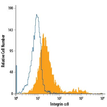 H4 human neuroglioma cell line was stained with Mouse Anti-Human Integrin a8 PE-conjugated Monoclonal Antibody (Catalog # FAB6194P, filled histogram) or isotype control antibody (Catalog # IC0041P, open histogram). View our protocol for Staining Membrane-associated Proteins.