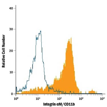 Mouse peripheral blood cells were stained with Rat Anti-Mouse Integrin aM/CD11b Fluorescein-conjugated Monoclonal Antibody (Catalog # FAB1124F, filled histogram) or isotype control antibody (Catalog # IC013F, open histogram). View our protocol for Staining Membrane-associated Proteins.