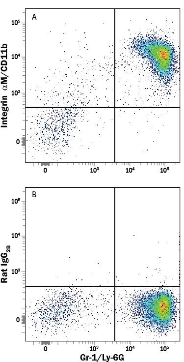 Mouse bone marrow cells were stained with Rat Anti-Mouse Gr-1/Ly-6G APC-conjugated Monoclonal Antibody (Catalog # FAB1037A) and either (A) Rat Anti-Mouse Integrin aM/CD11b PE-conjugated Monoclonal Antibody (Catalog # FAB1124P) or (B) Rat IgG2BPhycoerythrin Isotype Control (Catalog # IC013P). View our protocol for Staining Membrane-associated Proteins.