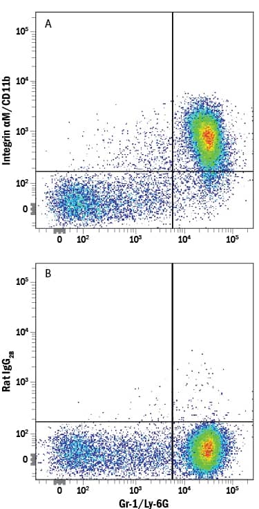 Mouse bone marrow cells were stained with Rat Anti-Mouse Gr-1/Ly-6G PE-conjugated Monoclonal Antibody (Catalog # FAB1037P) and either (A) Rat Anti-Mouse Integrin aM/CD11b Alexa Fluor® 750-conjugated Monoclonal Antibody (Catalog # FAB1124S) or (B) Rat IgG2BAlexa Fluor 750 Isotype Control (Catalog # IC013S). View our protocol for Staining Membrane-associated Proteins.