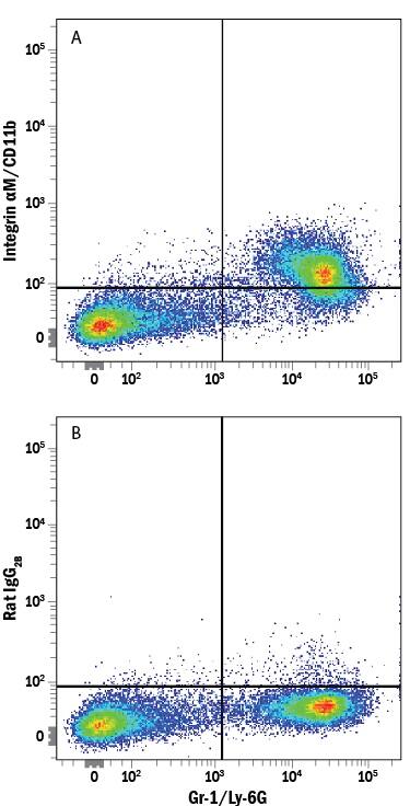 Mouse bone marrow cells were stained with Rat Anti-Mouse Gr-1/Ly-6G APC-conjugated Monoclonal Antibody (Catalog # FAB1037A) and either (A) Rat Anti-Mouse Integrin aM/CD11b Alexa Fluor® 405-conjugated Monoclonal Antibody (Catalog # FAB1124V) or (B) Rat IgG2BAlexa Fluor 405 Isotype Control (Catalog # IC013V). View our protocol for Staining Membrane-associated Proteins.
