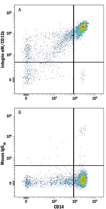 Human peripheral blood mononuclear cells (PBMCs) were stained with Mouse Anti-Human CD14 PE-conjugated Monoclonal Antibody (Catalog # FAB3832P) and either (A) Mouse Anti-Human Integrin aM/CD11b Alexa Fluor® 647-conjugated Monoclonal Antibody (Catalog # FAB16991R) or (B) Mouse IgG2BAlexa Fluor 647 Isotype Control (Catalog # IC0041R). View our protocol for Staining Membrane-associated Proteins.