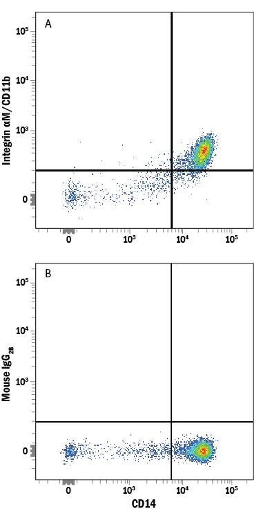 Human peripheral blood mononuclear cells (PBMCs) were stained with Mouse Anti-Human CD14 PE‑conjugated Monoclonal Antibody (Catalog # FAB3832P) and either (A) Mouse Anti-Human Integrin aM/CD11b Alexa Fluor® 750‑conjugated Monoclonal Antibody (Catalog # FAB16991S) or (B) Mouse IgG2BAlexa Fluor 750 Isotype Control (Catalog # IC0041S). View our protocol for Staining Membrane-associated Proteins.